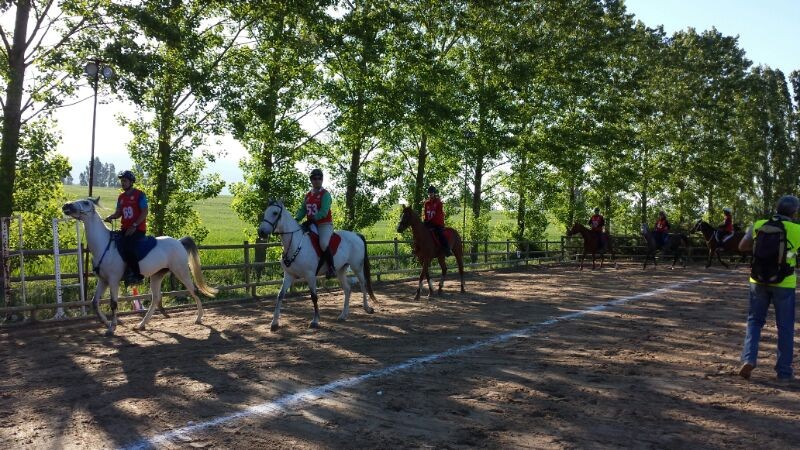 Clasificación I Edición Raid CEN*, CEN 0* y Promoción celebrados en Añézcar el pasado día 17 de mayo